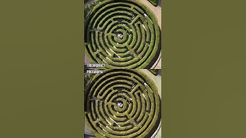 How do those with colour blindness perceive mazes?#Shorts #ColourBlind #ColorBlind