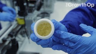 Decarboxylation that delivers: How Scientus Pharma is finding the right dose | The GrowthOp