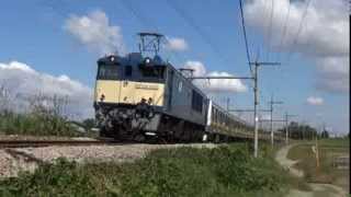 EF64 1032+E233系南武線 配9772レ 越後滝谷~小千谷