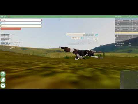 Glitch From Awhile Back In Roblox Yellowstone Youtube - roblox yellowstone wolf ideas