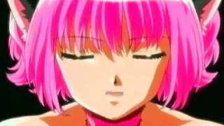   tokyo Mew Mew hebrew    