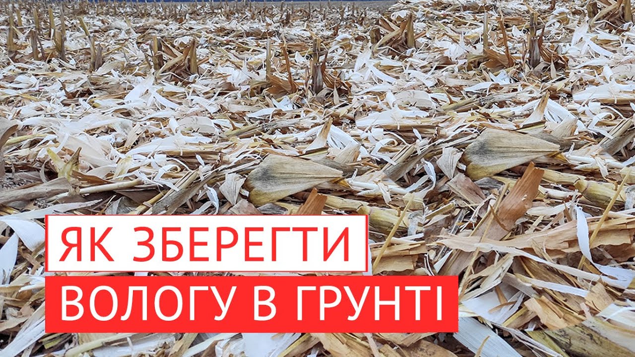 Як ефективно зберегти вологу в грунті