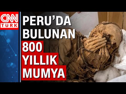 800 ile 1200 yıllık olduğu tahmin edilen mumya basın karşısına çıktı