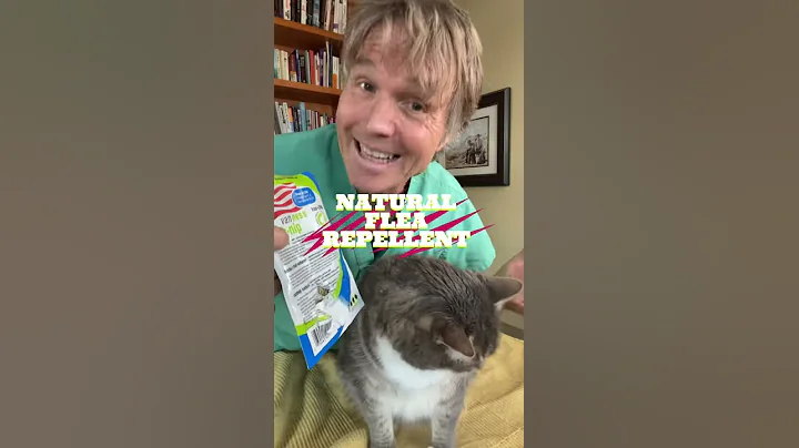 STOP Fleas Holistically with this! #Shorts