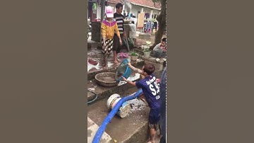 Clip 2 tát Áo Bắt Cá trê