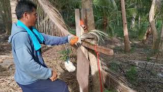 Extracting Agave Fibers, Natural Fiber process