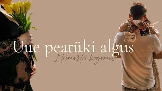 Uue peatüki algus| räägin I trimestrist ☁️🌸🦋