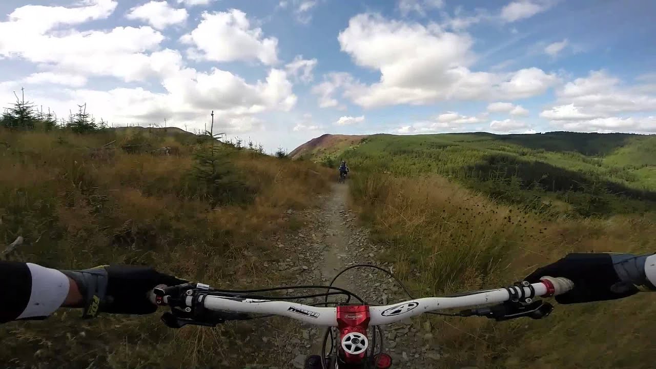 Lake District Mountain Biking Whinlatter Forest Altura Trail 24/08/14 YouTube