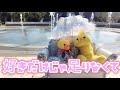好きだけじゃ足りなくて ゴールデンボンバー