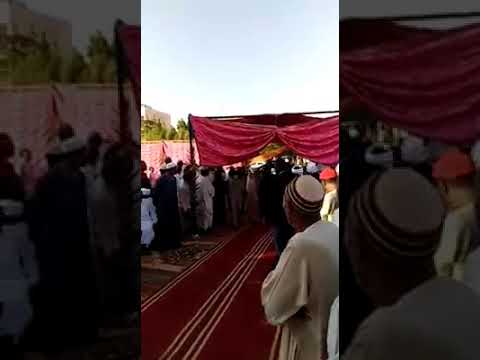 زواج ابو هريرة و رقيص البشير