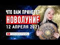 НОВОЛУНИЕ 12 АПРЕЛЯ 2021 | НОВОЛУНИЕ в ОВНЕ | Таро онлайн | Гадание Онлайн |