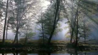 Video thumbnail of "CAT STEVENS -  "Morning Has Broken""