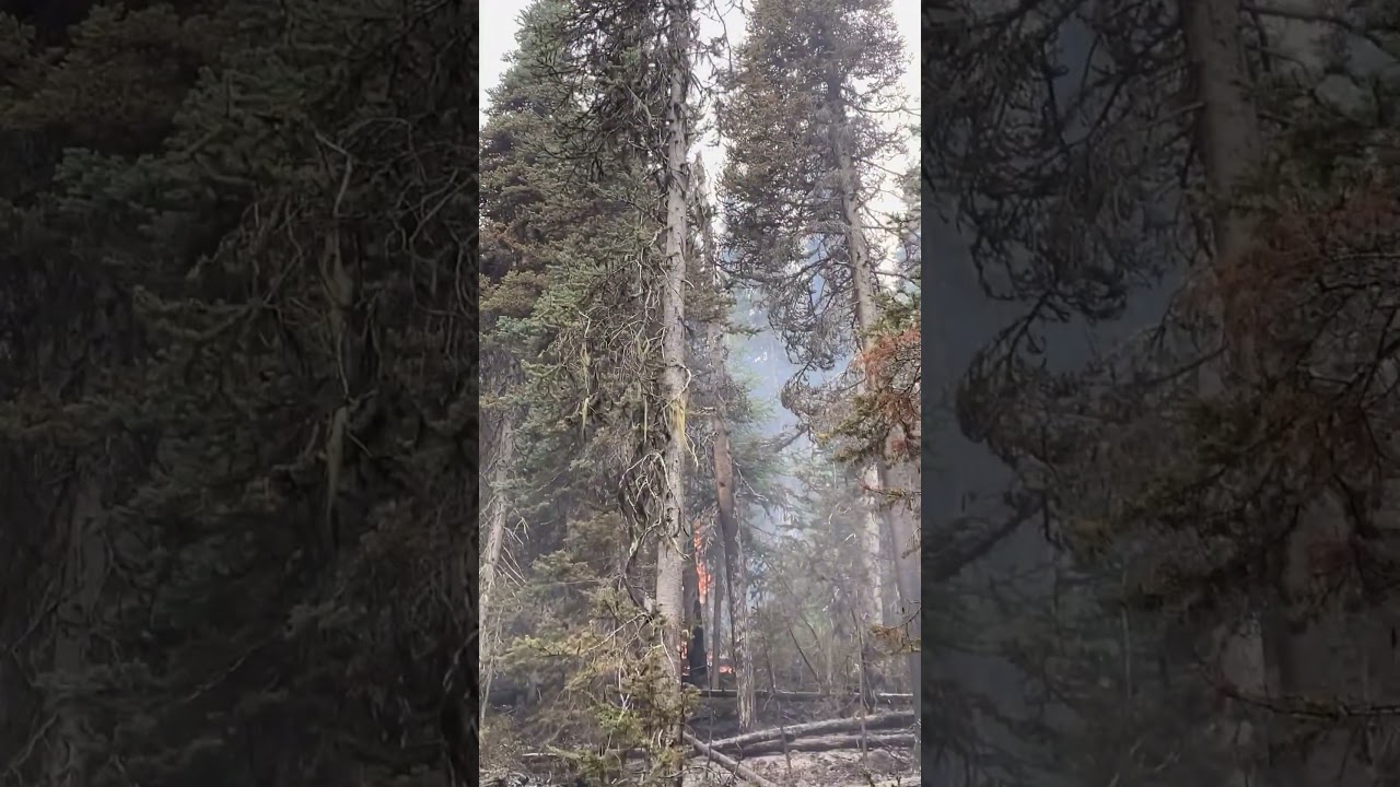 Helicopter hits the target.