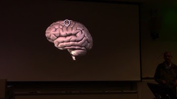 Krishna Shenoy (Stanford/ Neuroscience) on "Brain-machine Interfaces"