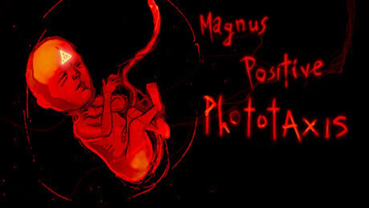 Magnus Positive Phototaxis DEMO Playthrough surreal Horror Game YouTube