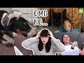 Reacting to VIRAL rat videos