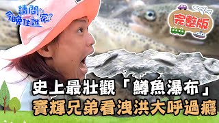 【苗栗】史上最壯觀「鱒魚瀑布」！竇輝兄弟接管幫魚搬家狂噴 ... 