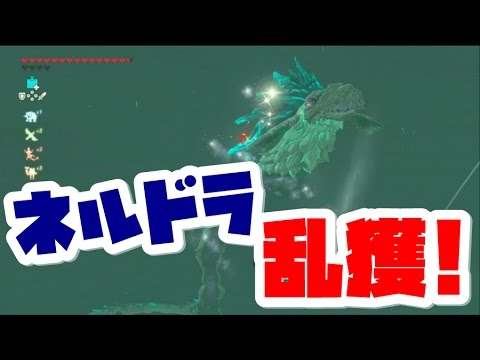 ゼルダの伝説 ブレスオブザワイルド 最強防具の強化素材 ネルドラの角のかけらの入手方法 Naotin Youtube