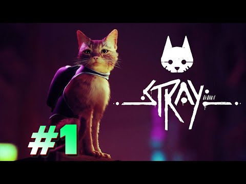 Видео: АНТОША ПРОХОДИТ ИГРУ ПРО КОТИКА | Stray #1