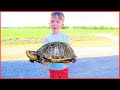 We found a turtle | Playing on the farm with tractors for kids
