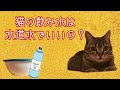 猫にあげるお水は水道水でいいの？