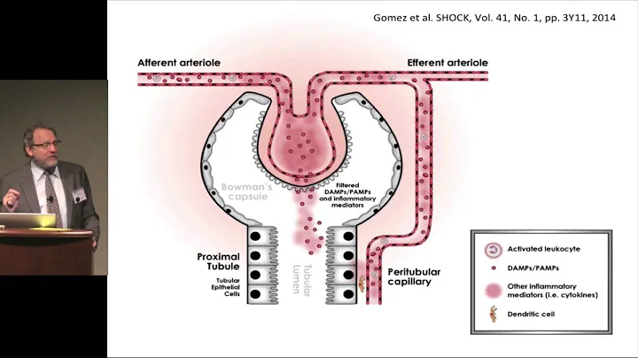 Acute Kidney Injury and AKI Biomarkers in the ICU ...