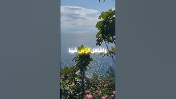 سوره مريم الآيه ٤  / 4  Surah Maryam#quran #surahmaryam #المنشاوي #قرآن #سورة_مريم