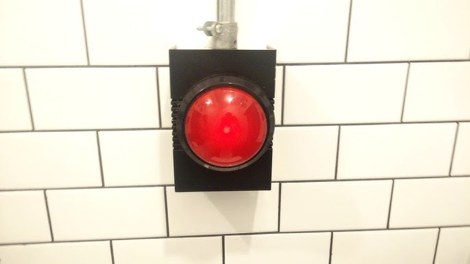 Woman claims she's found 'coolest toilet in Britain' - with mysterious big  red button - Mirror Online