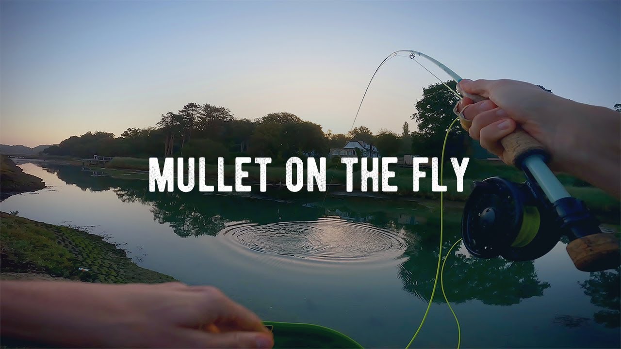 Saltwater Fly Fishing UK Fly Fishing For Mullet Mullet On The Fly