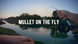 Saltwater Fly Fishing UK | Fly Fishing For Mullet | Mullet On The Fly