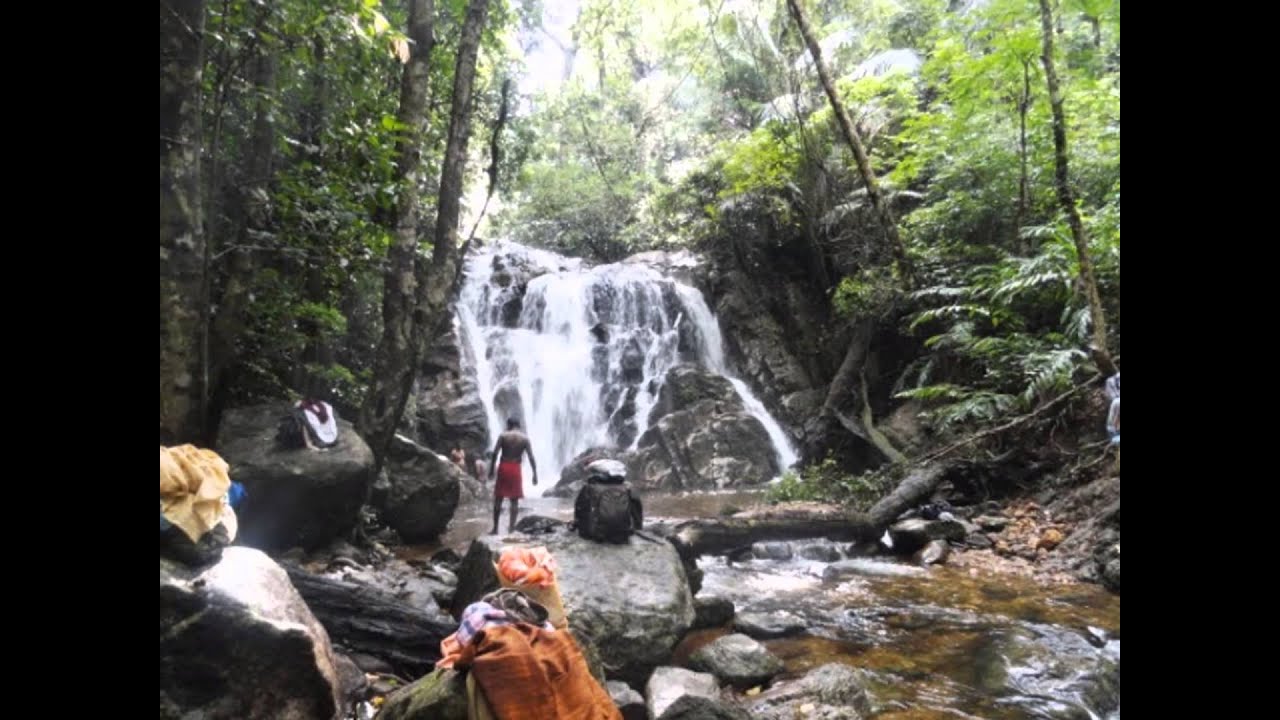 Agasthyakoodam Yathra - 2013