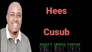 MAXAMED BK ( PUNTLAND ) HEES CUSUB 2020 LYRICS