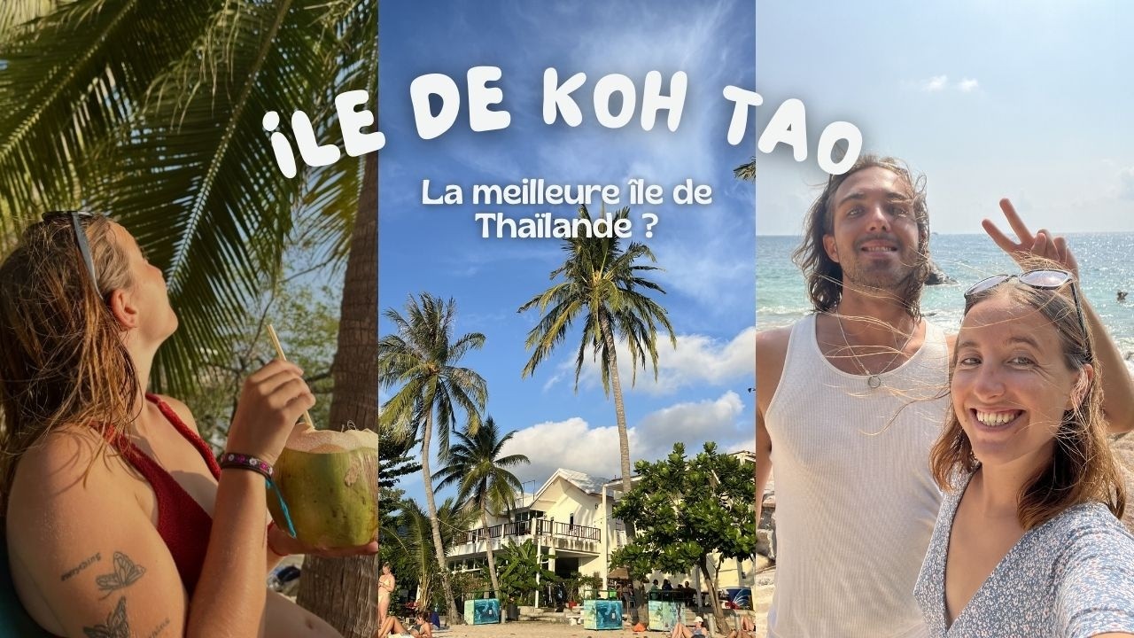 Koh Tao, Thailande 🇹🇭 | Plongée sous marine, snorkeling et plages paradisiaques | Vlog voyage