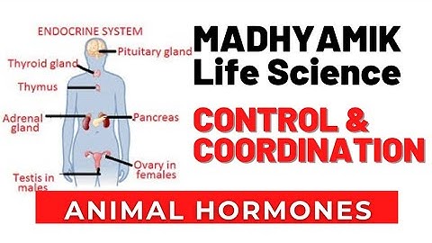 Madhyamik Life Science Chapter 1 Control and Coordination in living organisms  By Ramadan T