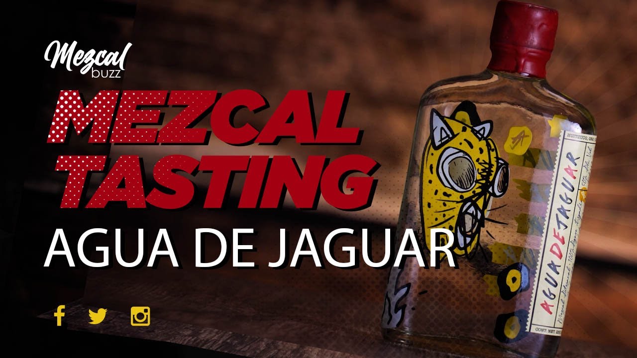 MEZCAL JAGUAR ビーズ装飾ボトル Buy Cabal Mezcal Artesanal Joven Salmiana Jaguar | Quality Liquor