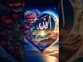 Short video new post Allah comment mein likhen