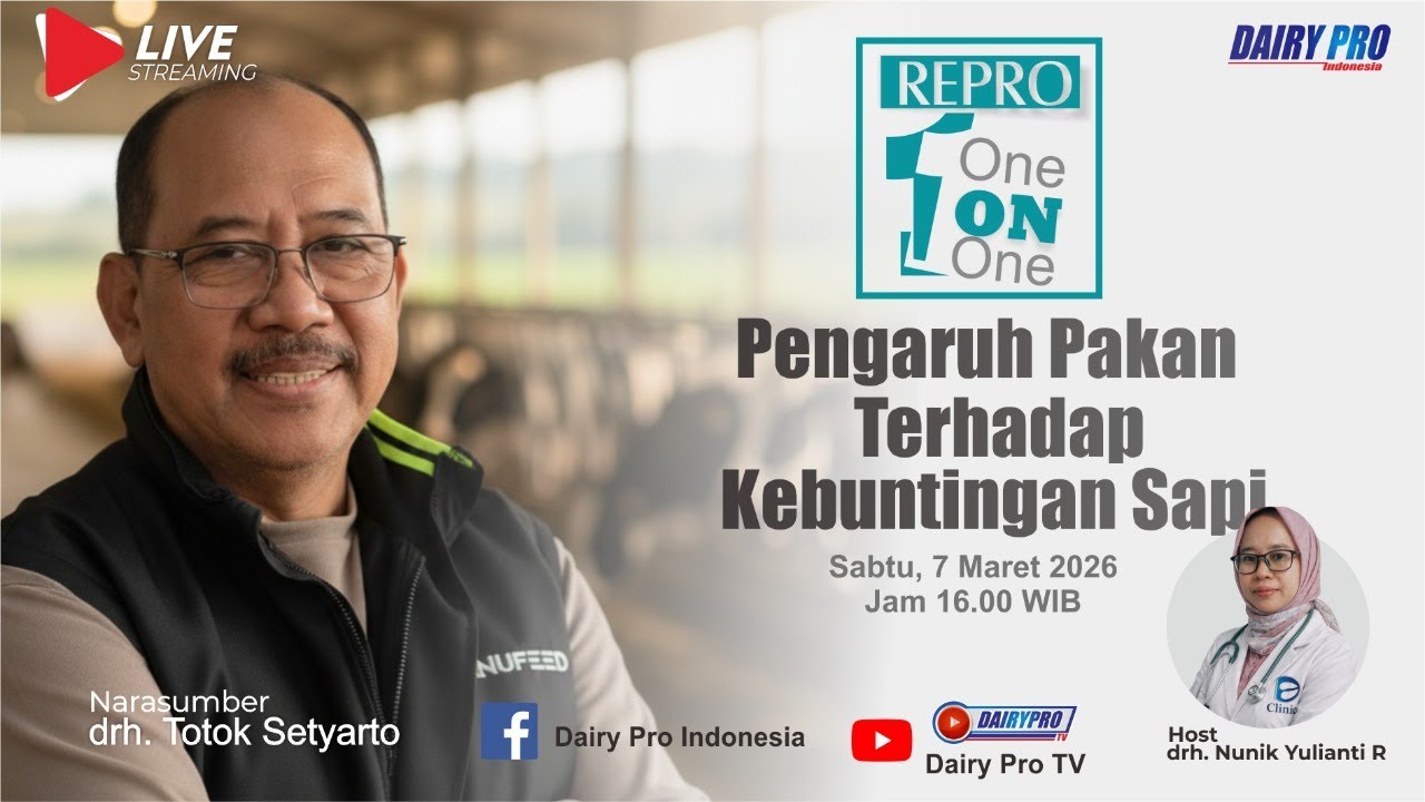 Влияние корма на задержку в начале кормления скота