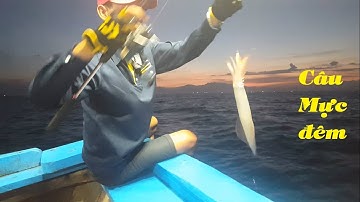 Trải nghiệm câu mực đêm trên biển đông – Phần 1 | Squid Fishing