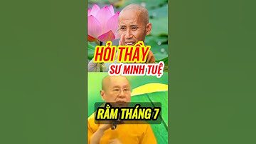 Bất Ngờ Hỏi Đáp Sư Minh Tuệ Rằm Tháng 7 Vu Lan Báo Hiếu #thichminhtuemoinhat #vulanbáohiếu #vula