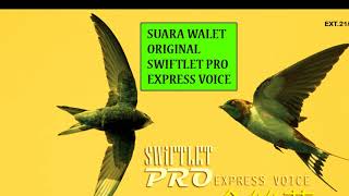 SUARA TARIK EXPRESS BURUNG WALET 20JT ORIGINAL | HQ External 03 Swiftlet Pro 2018