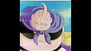 Bro Just Killed The Majin Buu シ
