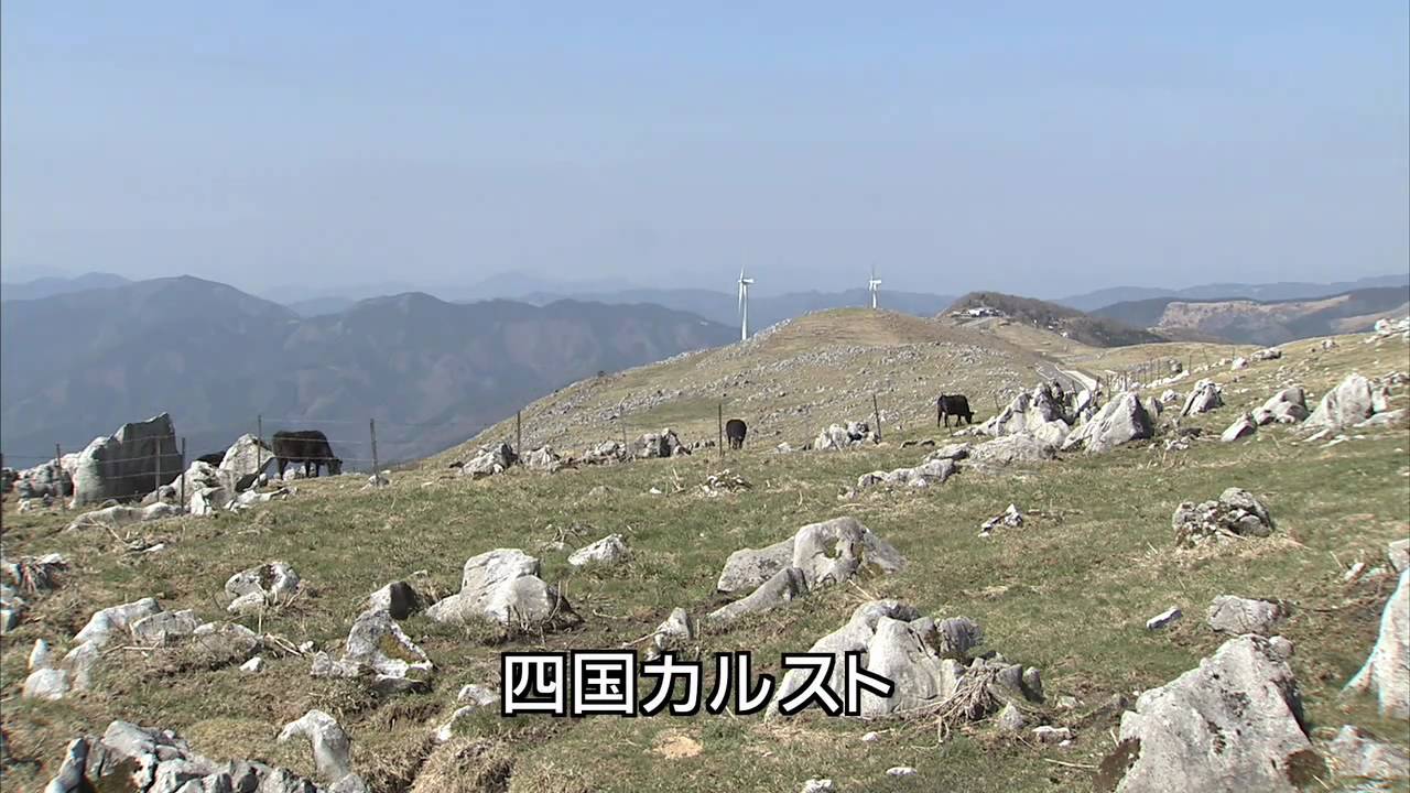 梼原町森林組合「梼原町紹介」HD YouTube