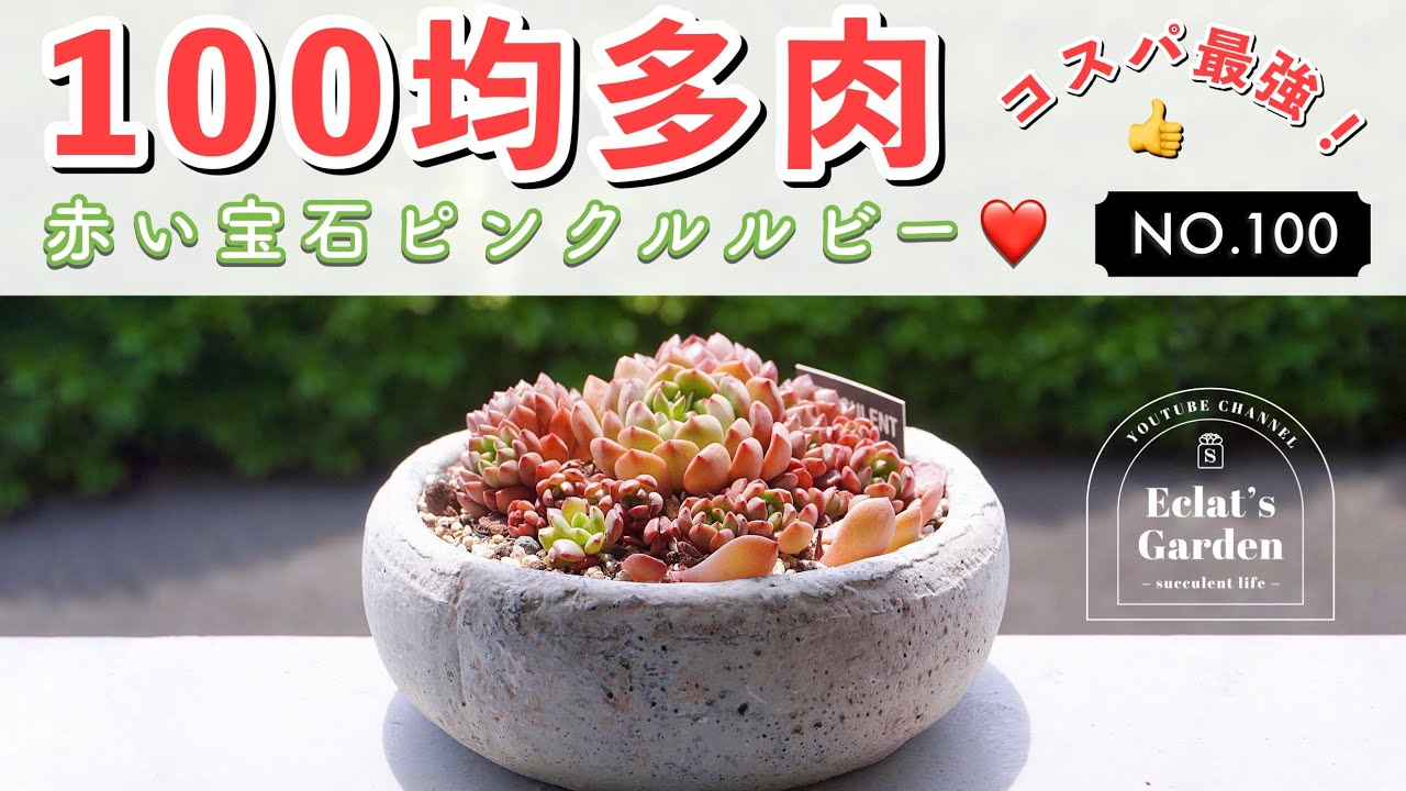 リメ鉢 リメイク鉢 プランター リメ缶 多肉植物 053 - 日用品/インテリア