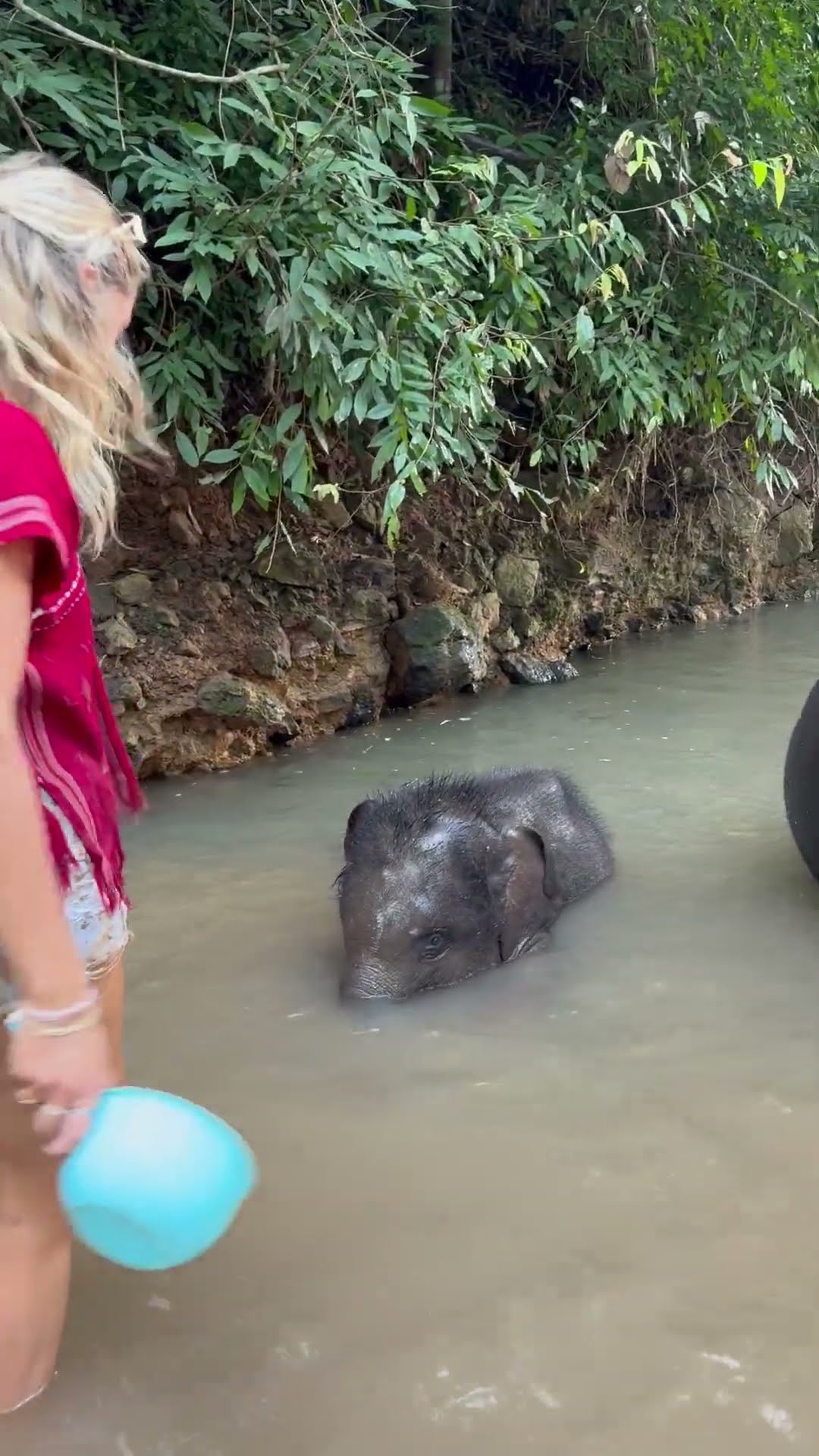 Playful Baby Elephant Joins Woman for a Splashing Good Time in the River