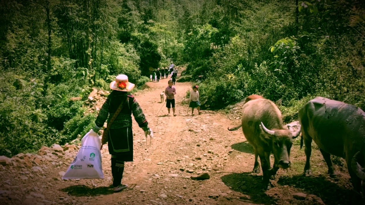Clean Up Sapa - YouTube