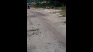 gawi gile bangka tengah