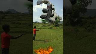 dinosaur vs snake short vfx viral trendingshorts shorts