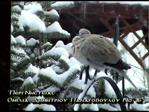 3'ΔΗΜΗΤΡΙΟΣ ΠΑΝΑΓΟΠΟΥΛΟΣ Νο16