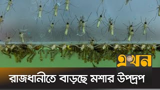 নর্দমার পাশে থাকা বর্জ্যে মশার আশ্রয়স্থল | Dengue | Ekhon TV