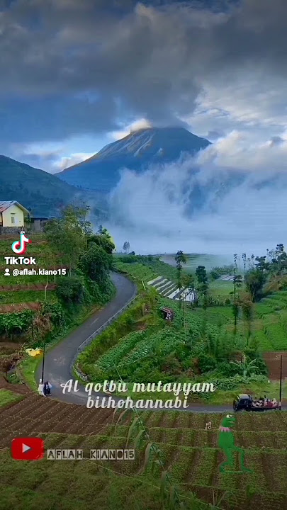 sholawat Al qolbu mutayyam. #sholawatmerdu #storywa #shorts #fyp #liriklagu